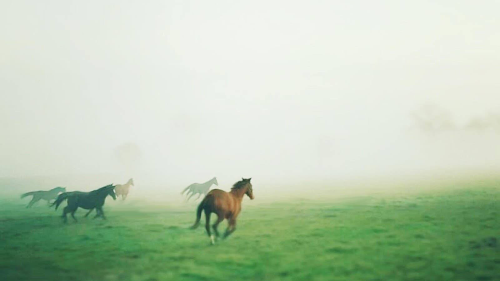 HARAS DE LA TUILERIE — photo 1