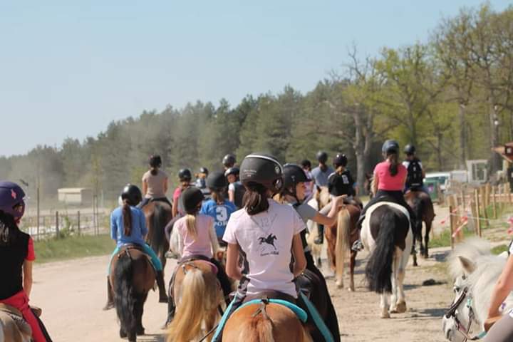 Haras de la Vallée — photo 1