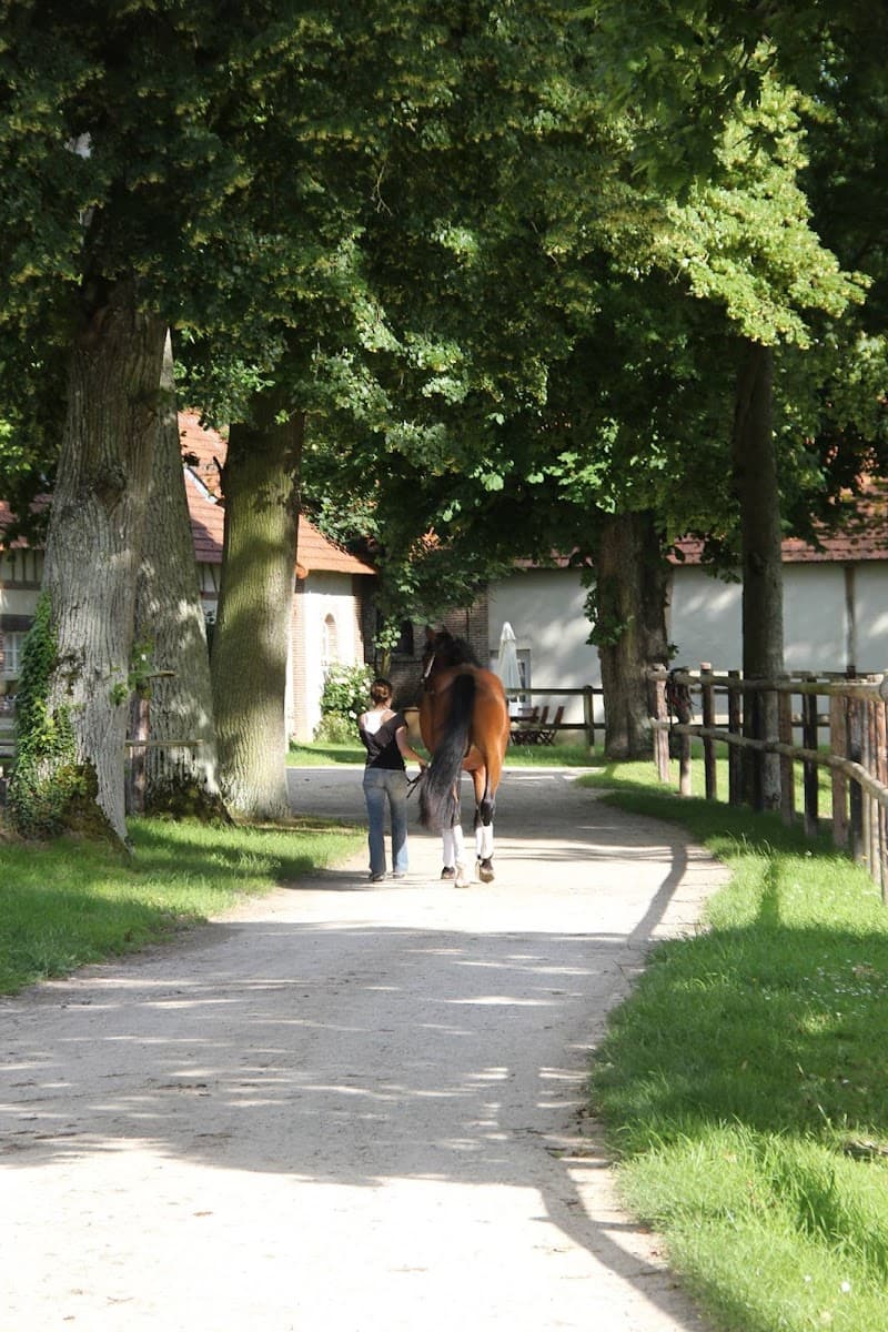 HARAS DE MORMOULINS — photo 1