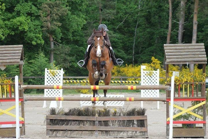 HARAS DE PAROTI — photo 1
