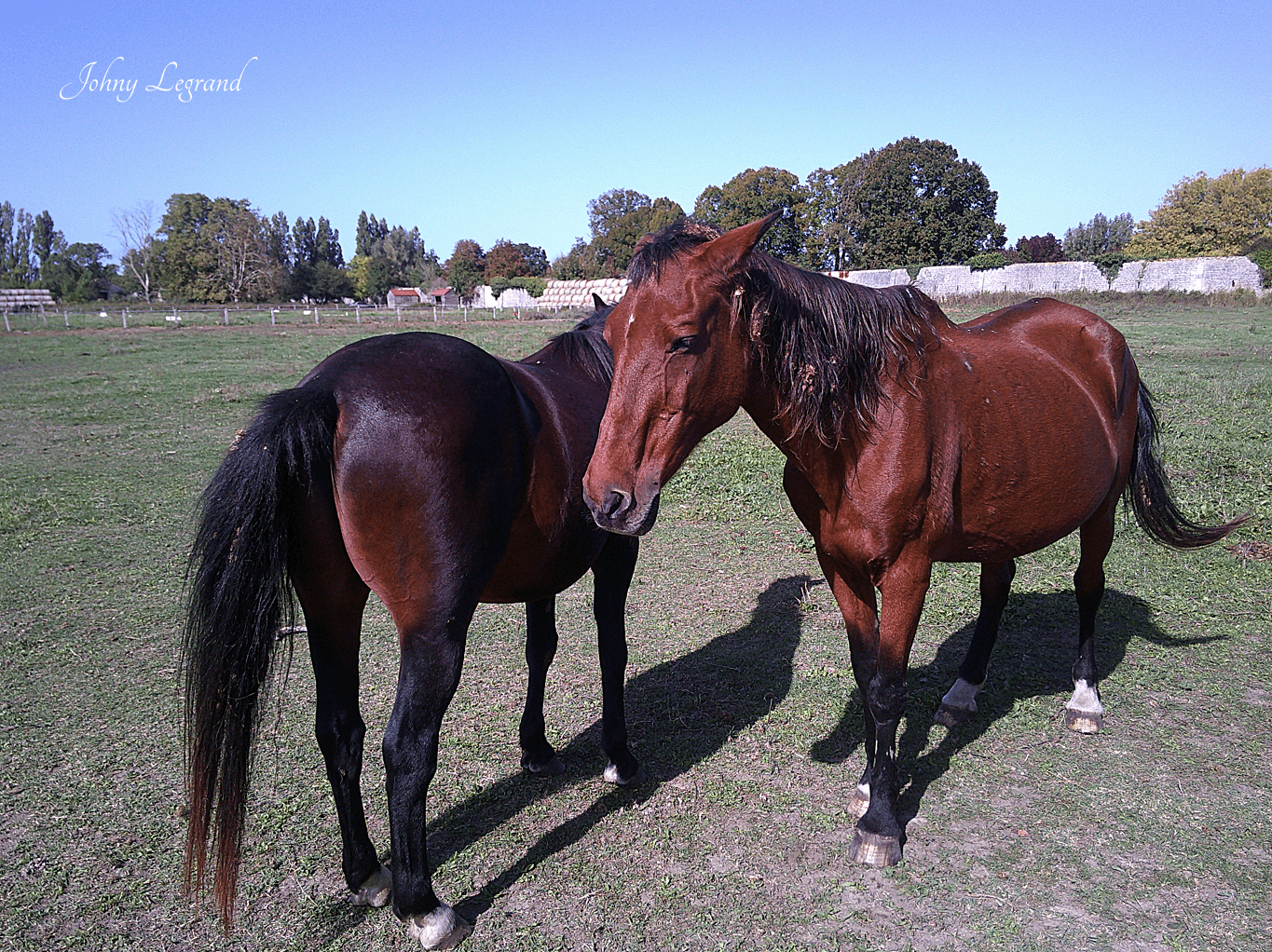 HARAS DE ROCHEFORT — photo 1