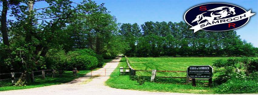 HARAS DE SAMROCH — photo 1