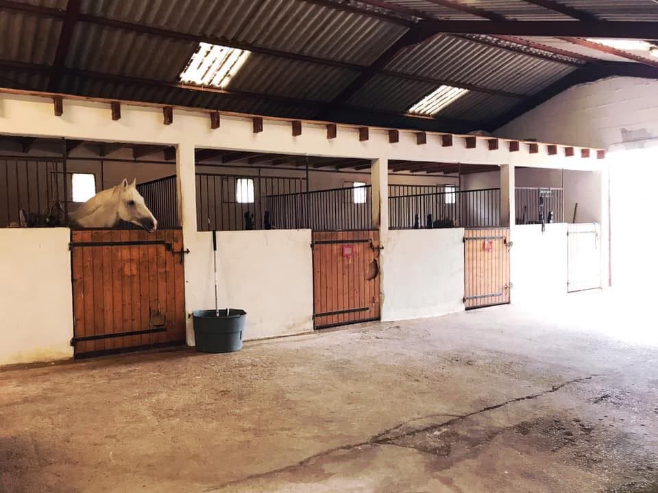 HARAS DE SIROGNE — photo 1