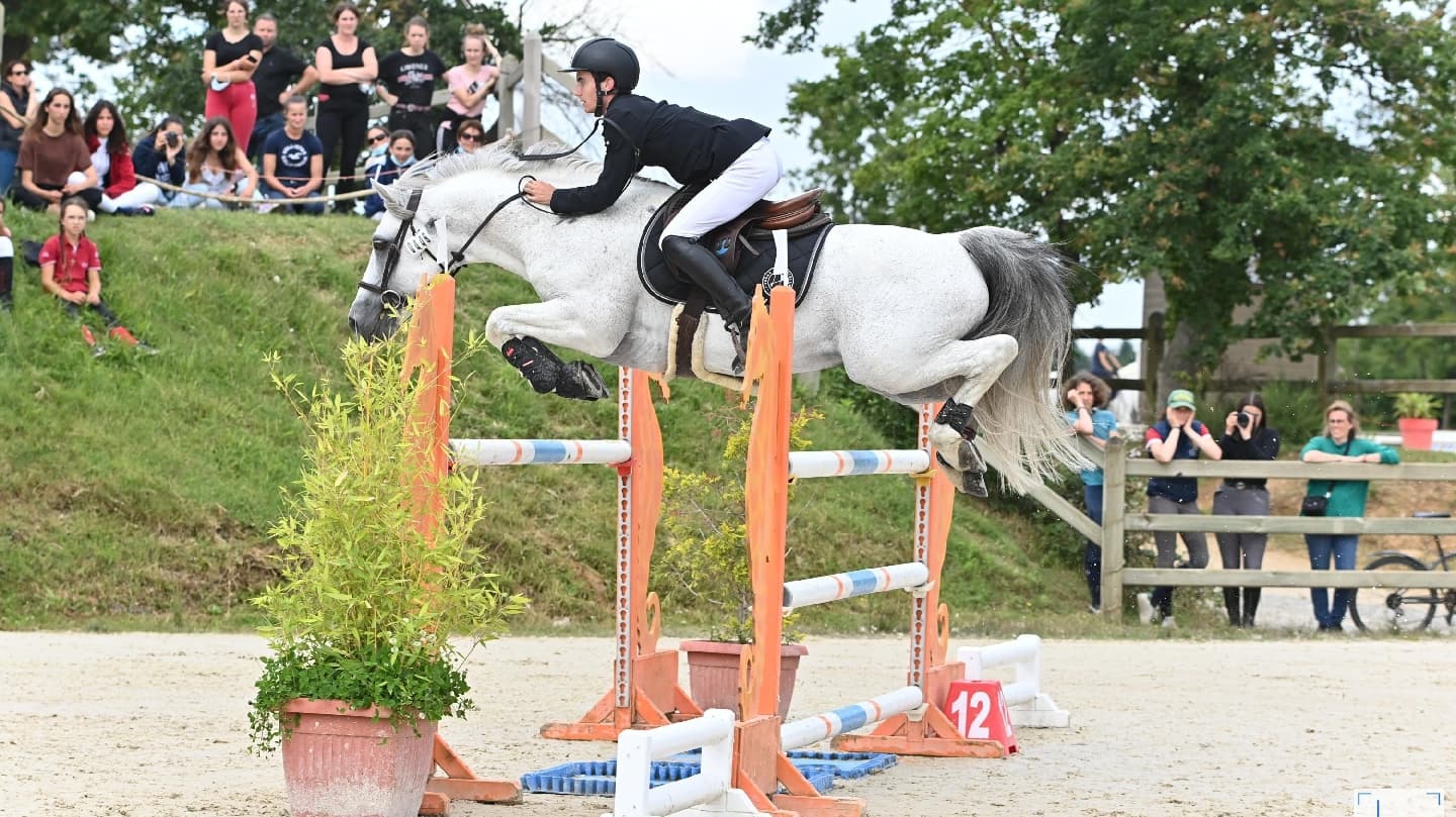 HARAS DE VENDIE — photo 1