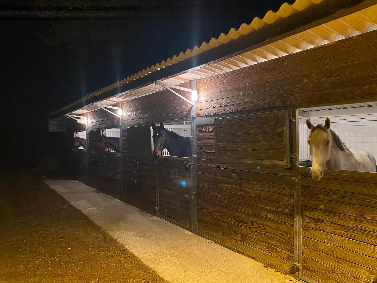 HARAS DE VONNAS — photo 1