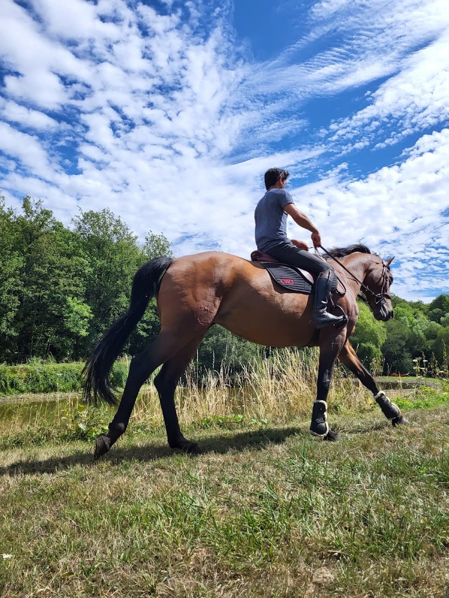 HARAS DELL ALBA ASSOCIATION — photo 1