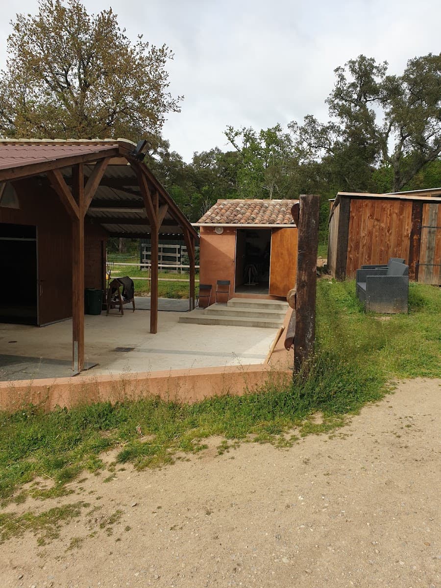 Haras des béliers — photo 1