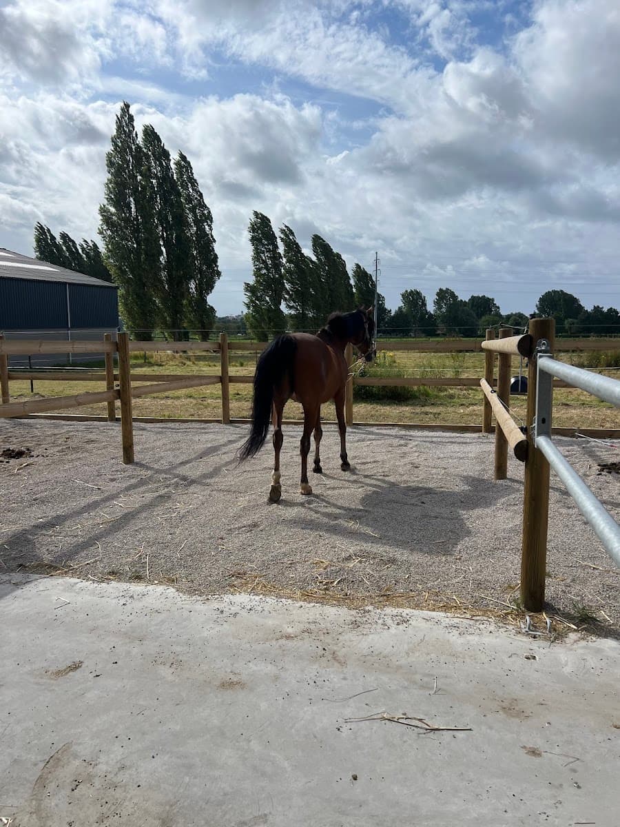 HARAS DES BLES D OR — photo 1
