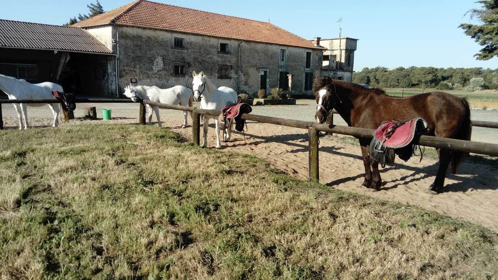 Haras des Evières — photo 1
