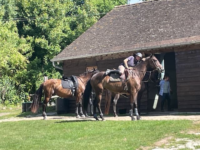 HARAS DES FOULONS — photo 1
