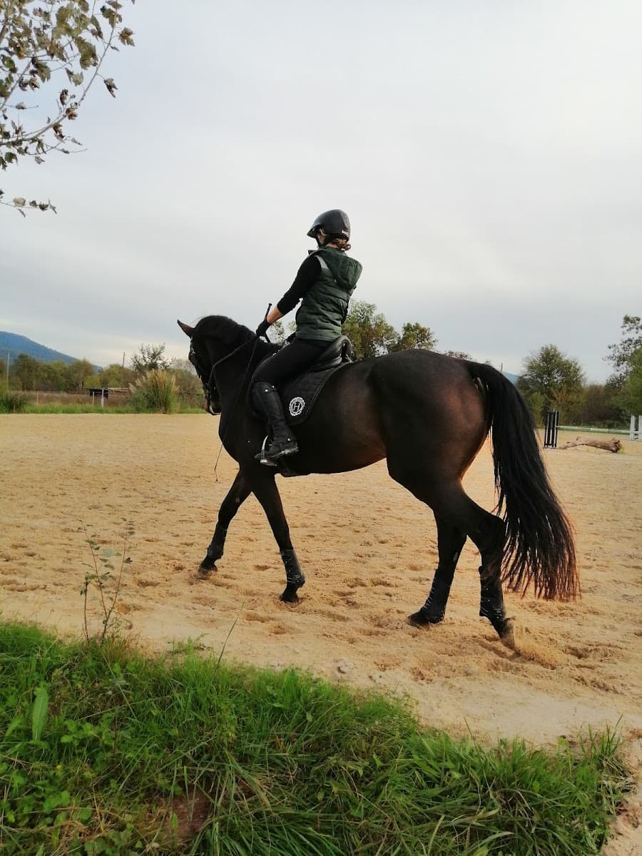HARAS DES LONES — photo 1