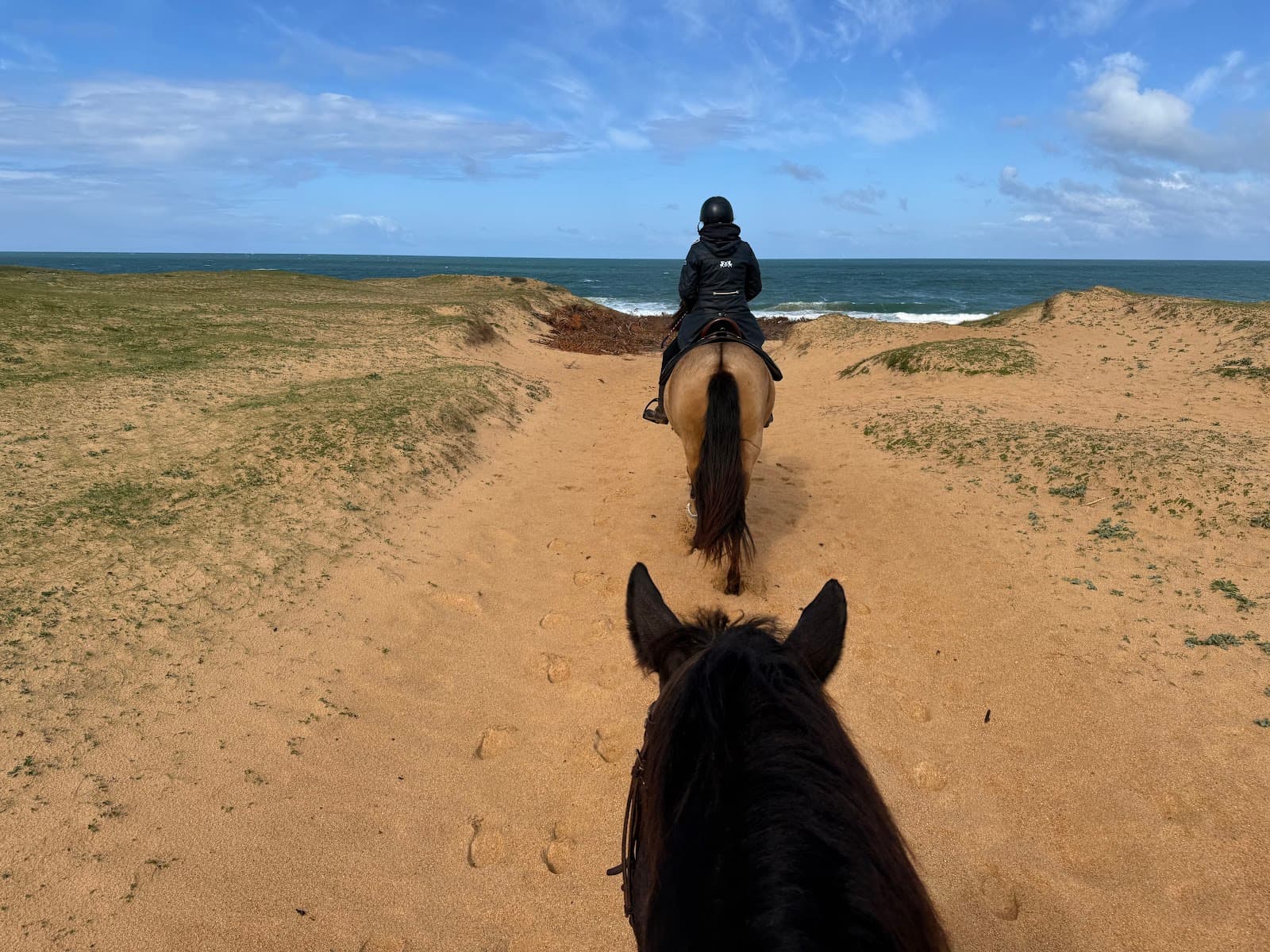 HARAS DES PLAGES — photo 1