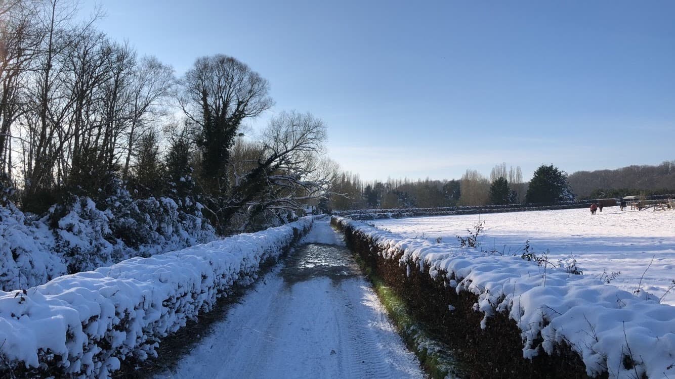 HARAS DES SABLES — photo 1