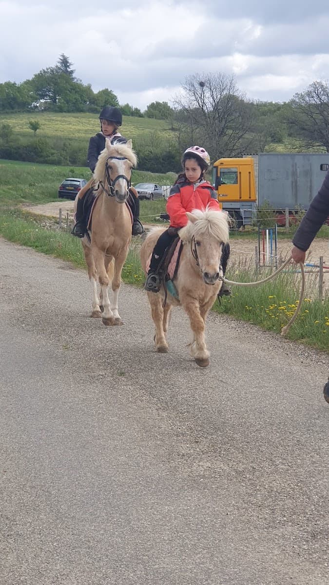 HARAS DES TEMPLIERS — photo 1
