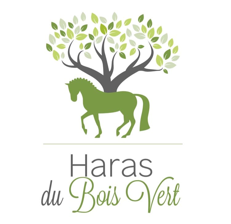 HARAS DU BOIS VERT — photo 1