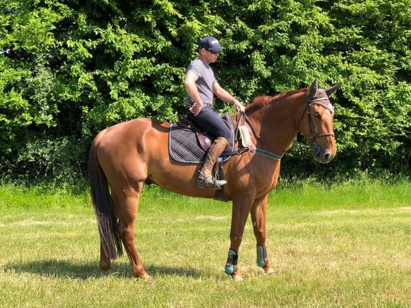 HARAS DU CHENE D ARGENT — photo 1