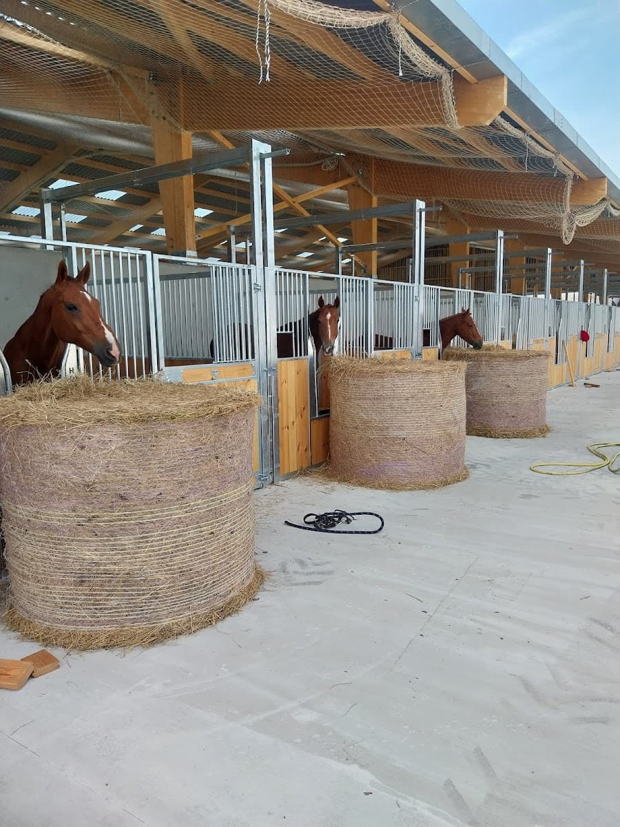 Haras du haut chêne — photo 1