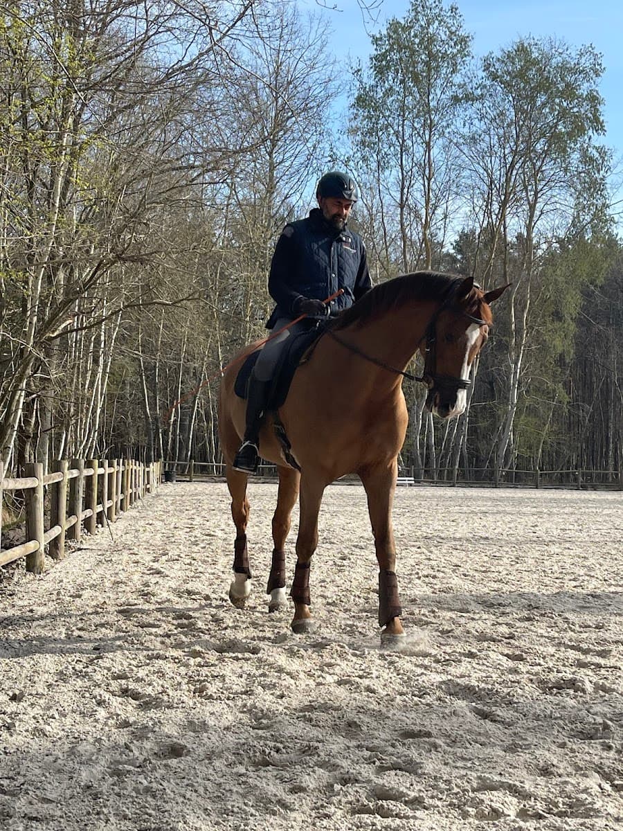 HARAS DU HAUT LE VENT — photo 1
