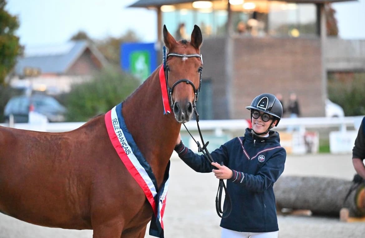 HARAS DU MAELLE — photo 1