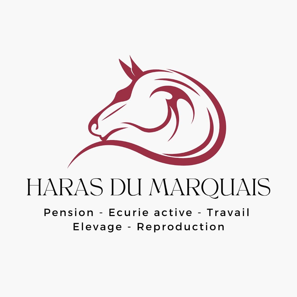 HARAS DU MARQUAIS — photo 1