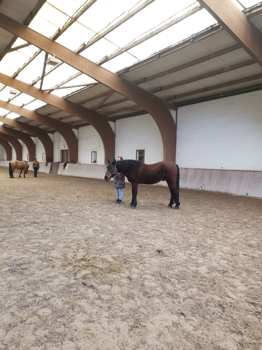 HARAS DU MOULIN — photo 1