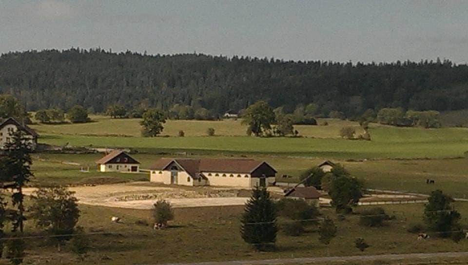 HARAS DU PETIT BOIS — photo 1