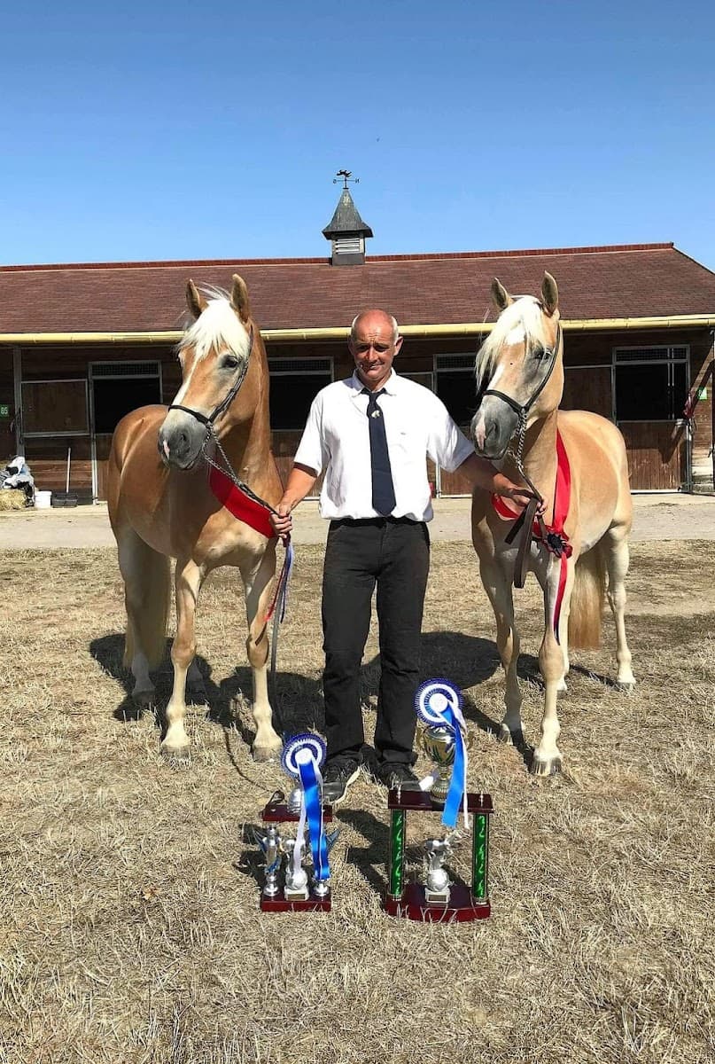 HARAS ET CENTRE EQUESTRE DU NEBOUZAN — photo 1
