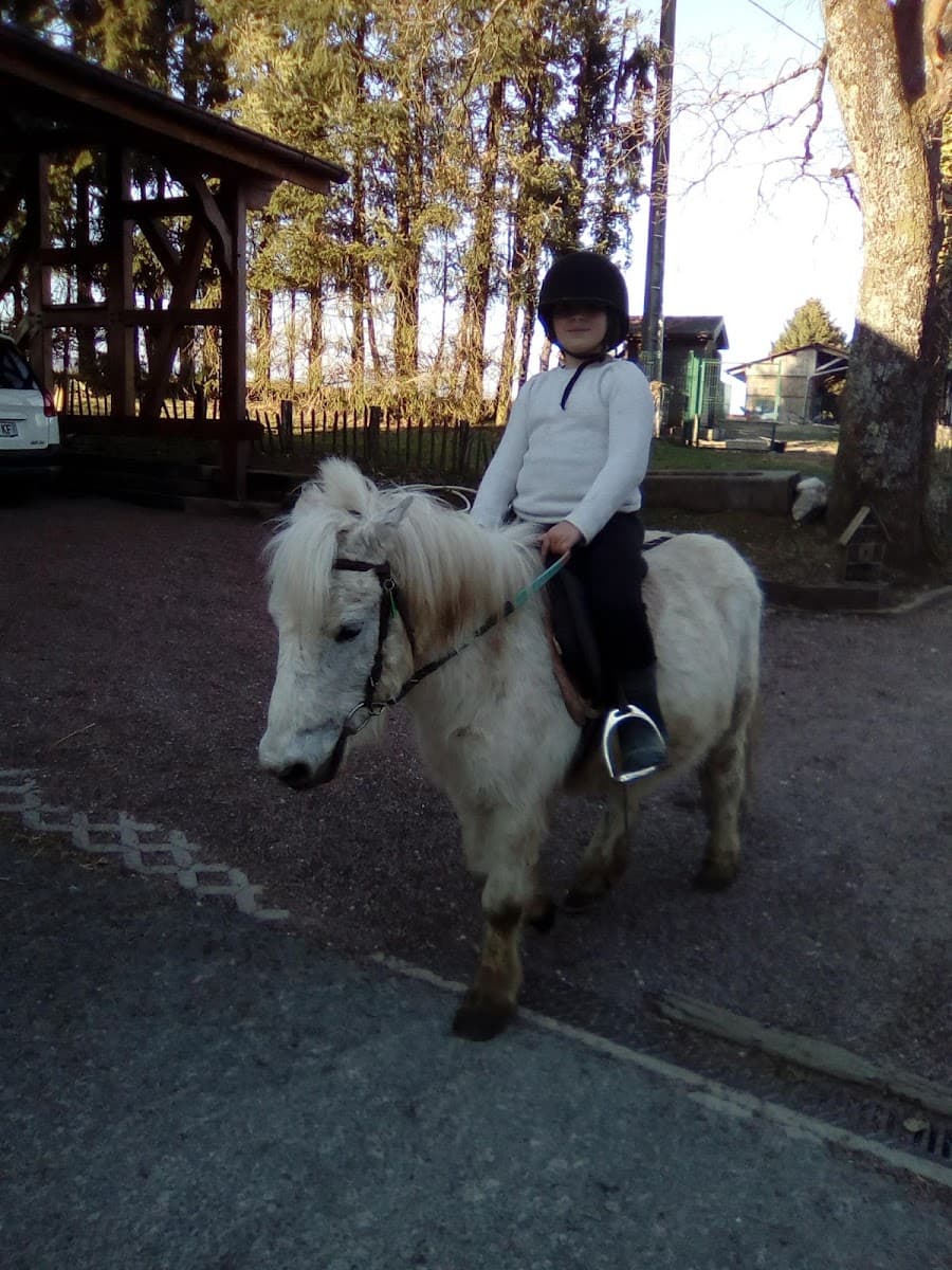 JTM élevage et Poney Club du haut bois — photo 1