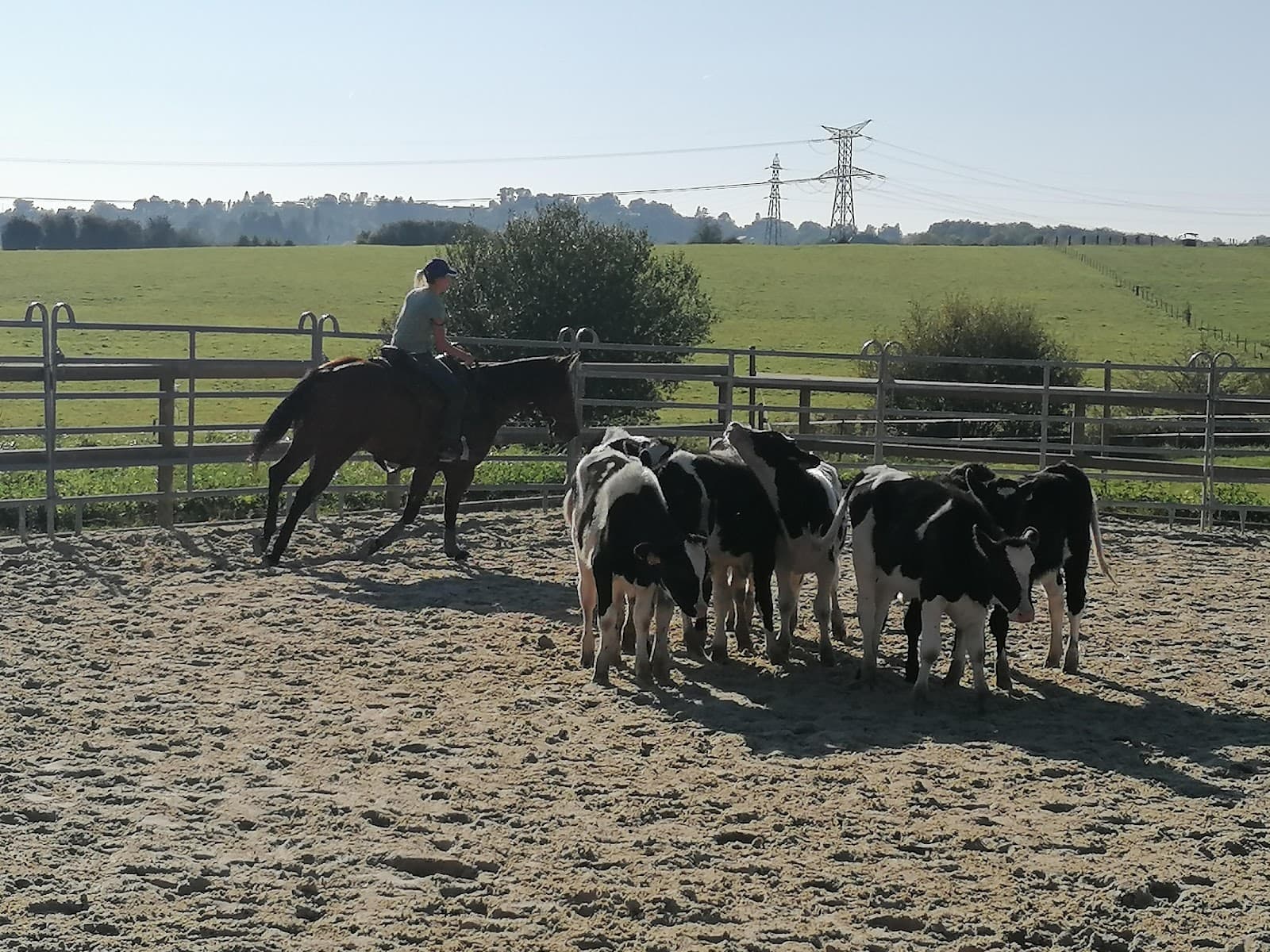 JUCA RANCH — photo 1