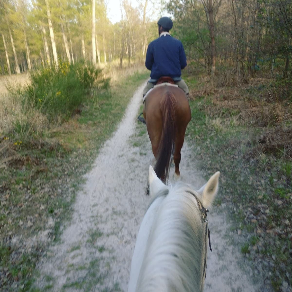 JUMPING CLUB DE BOIS LE ROI — photo 1