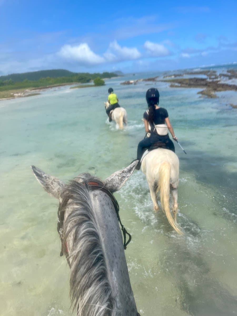 KARUKERA HORSES — photo 1