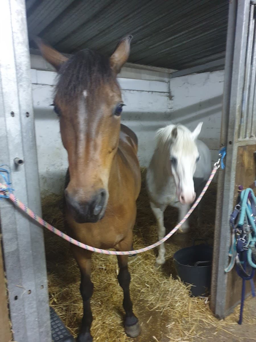 KAVALCADE ET COMPAGNIE — photo 1