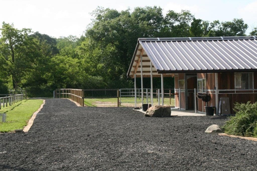 KT HORSES — photo 1