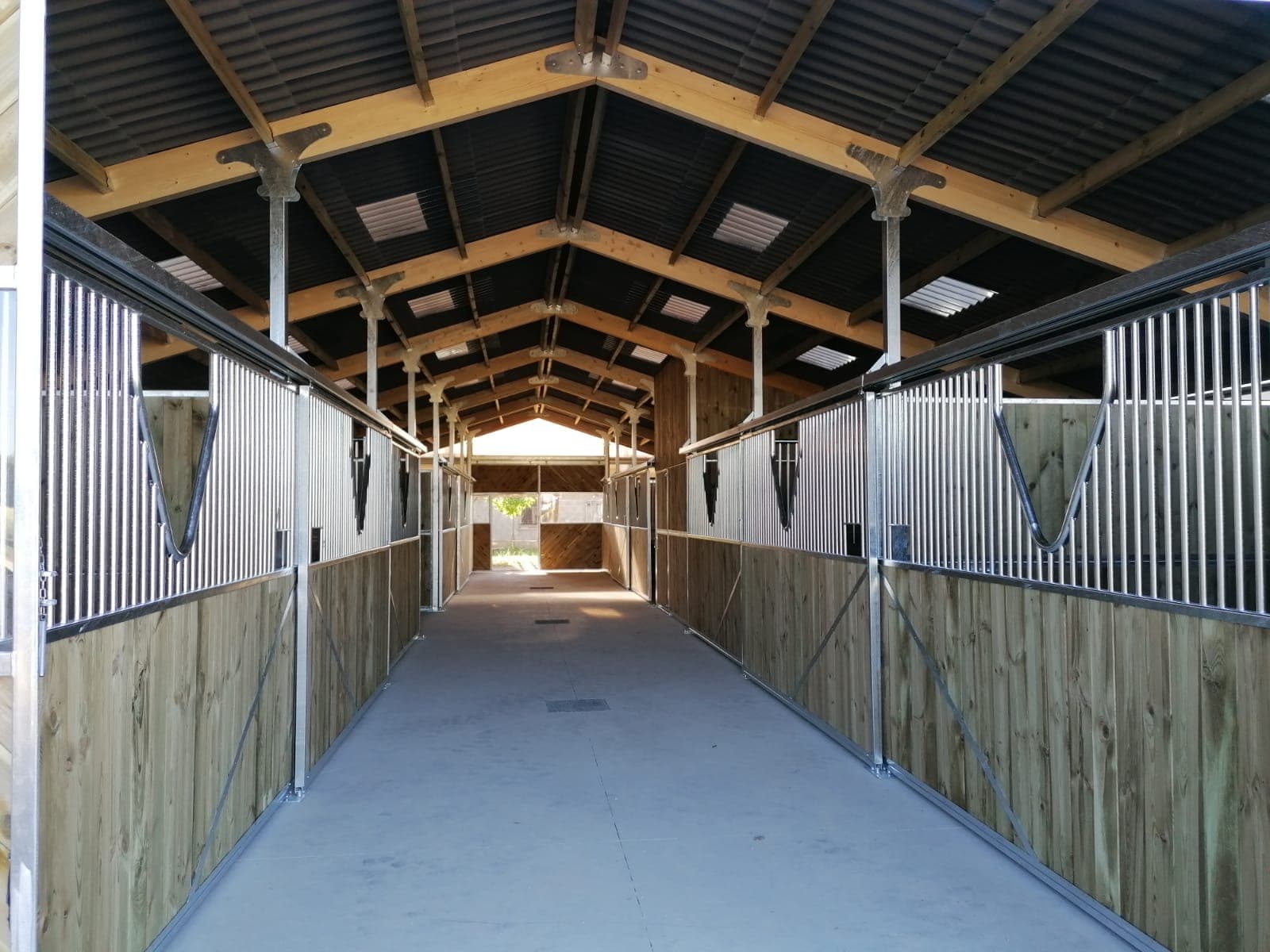 L ALEZANE — photo 1