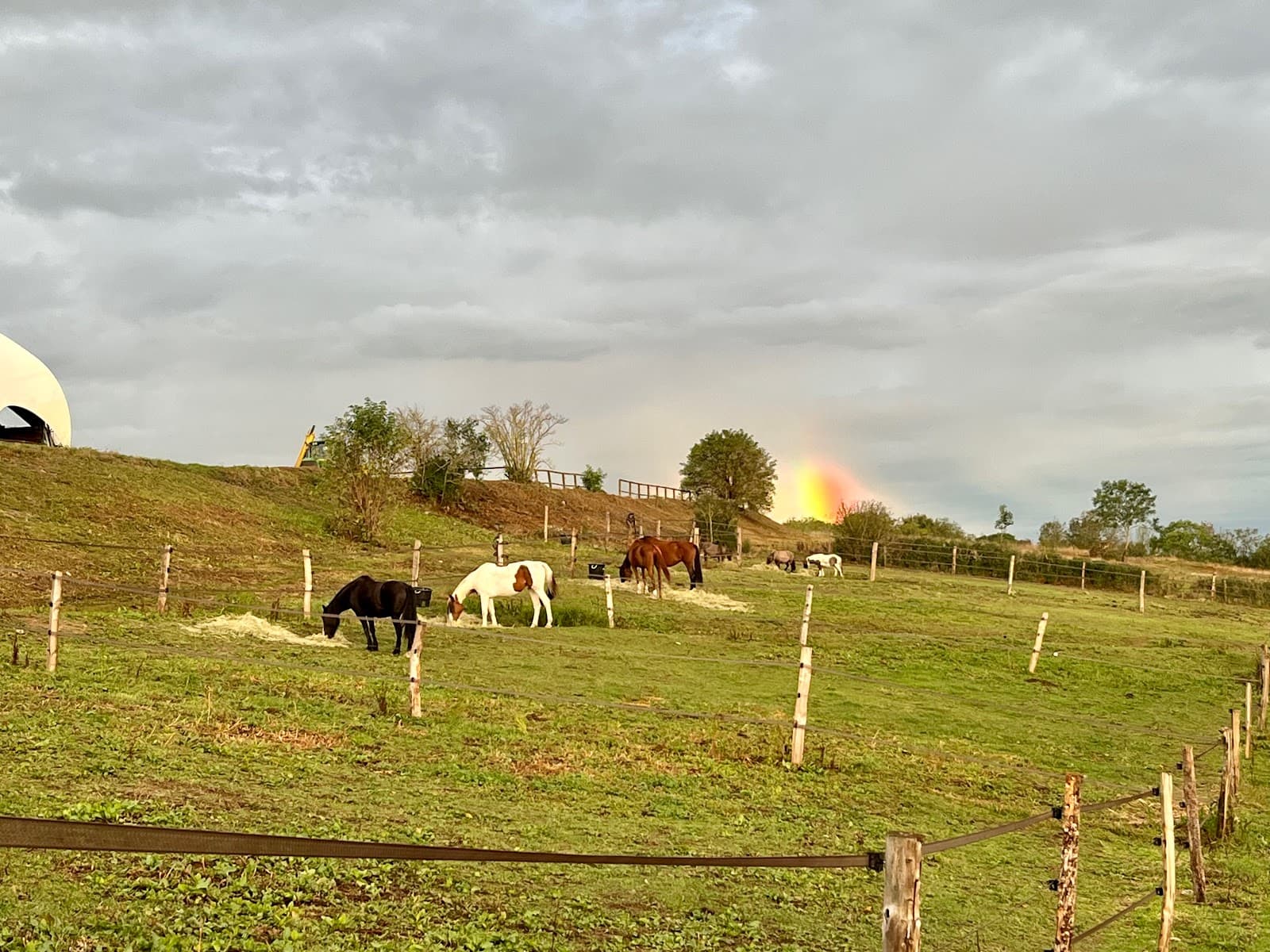 L AUTHENTIQUE DOMAINE EQUESTRE — photo 1