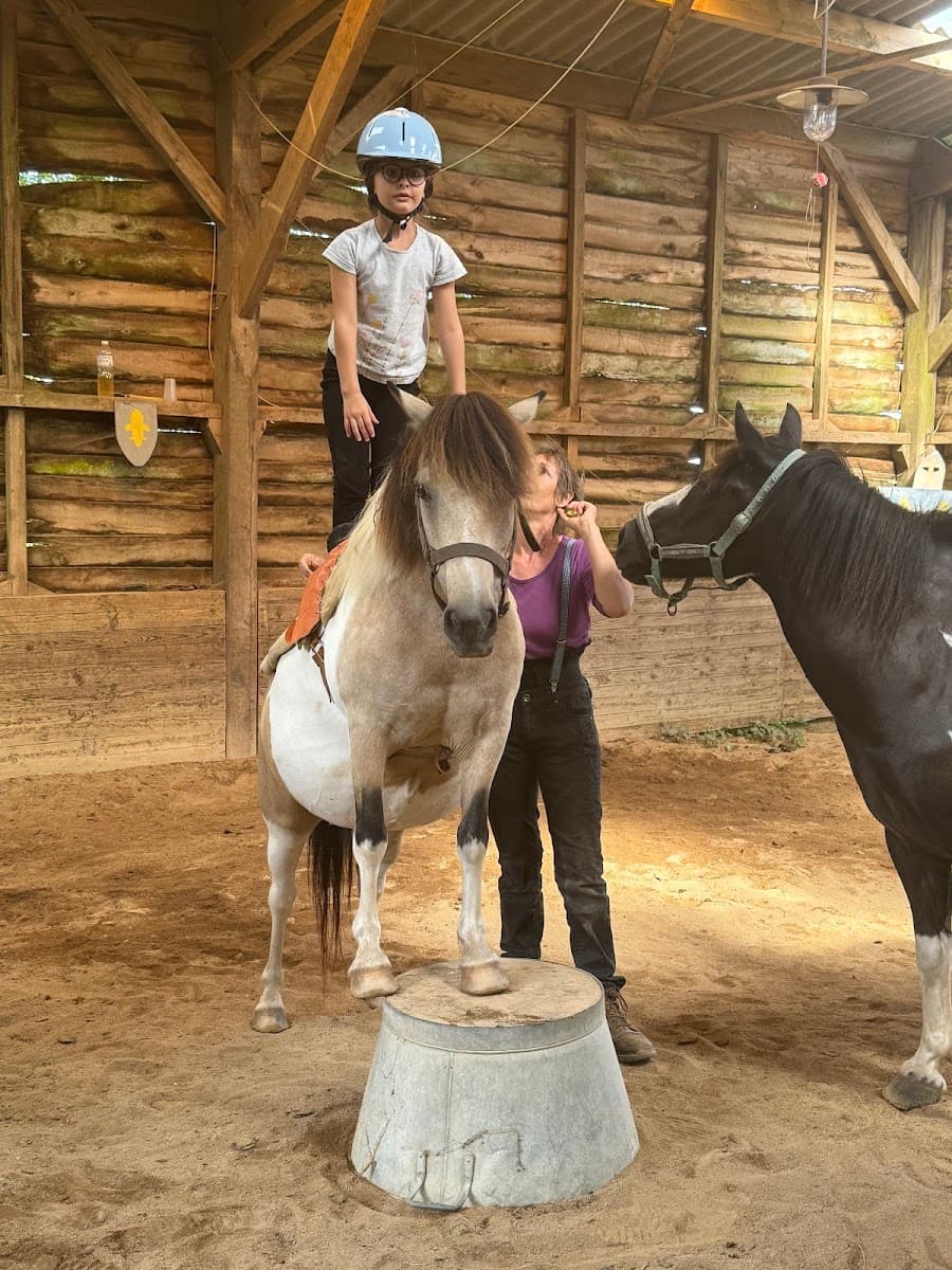 L ECOLE DU CHEVAL — photo 1