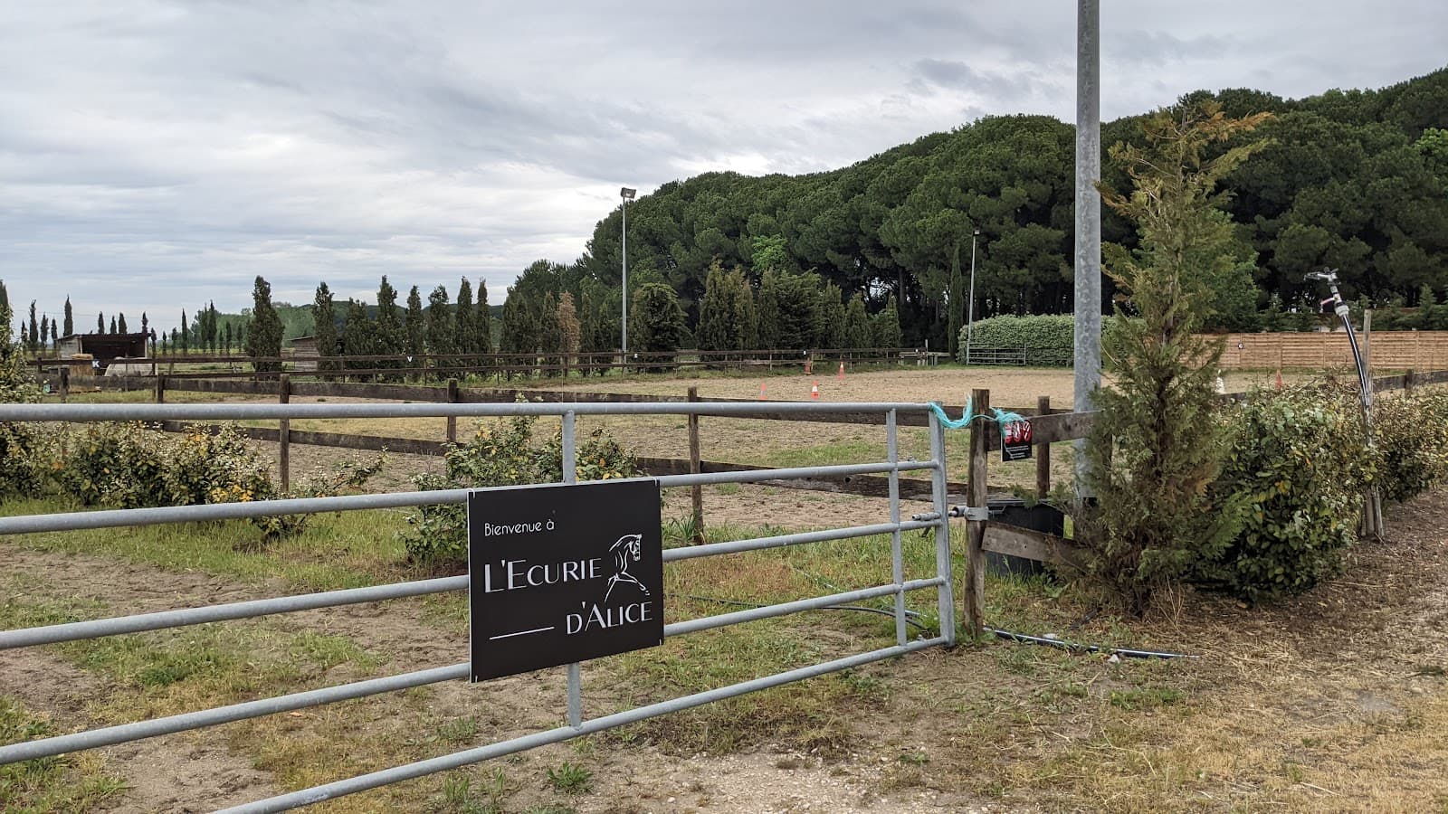 L ECURIE D ALICE — photo 1