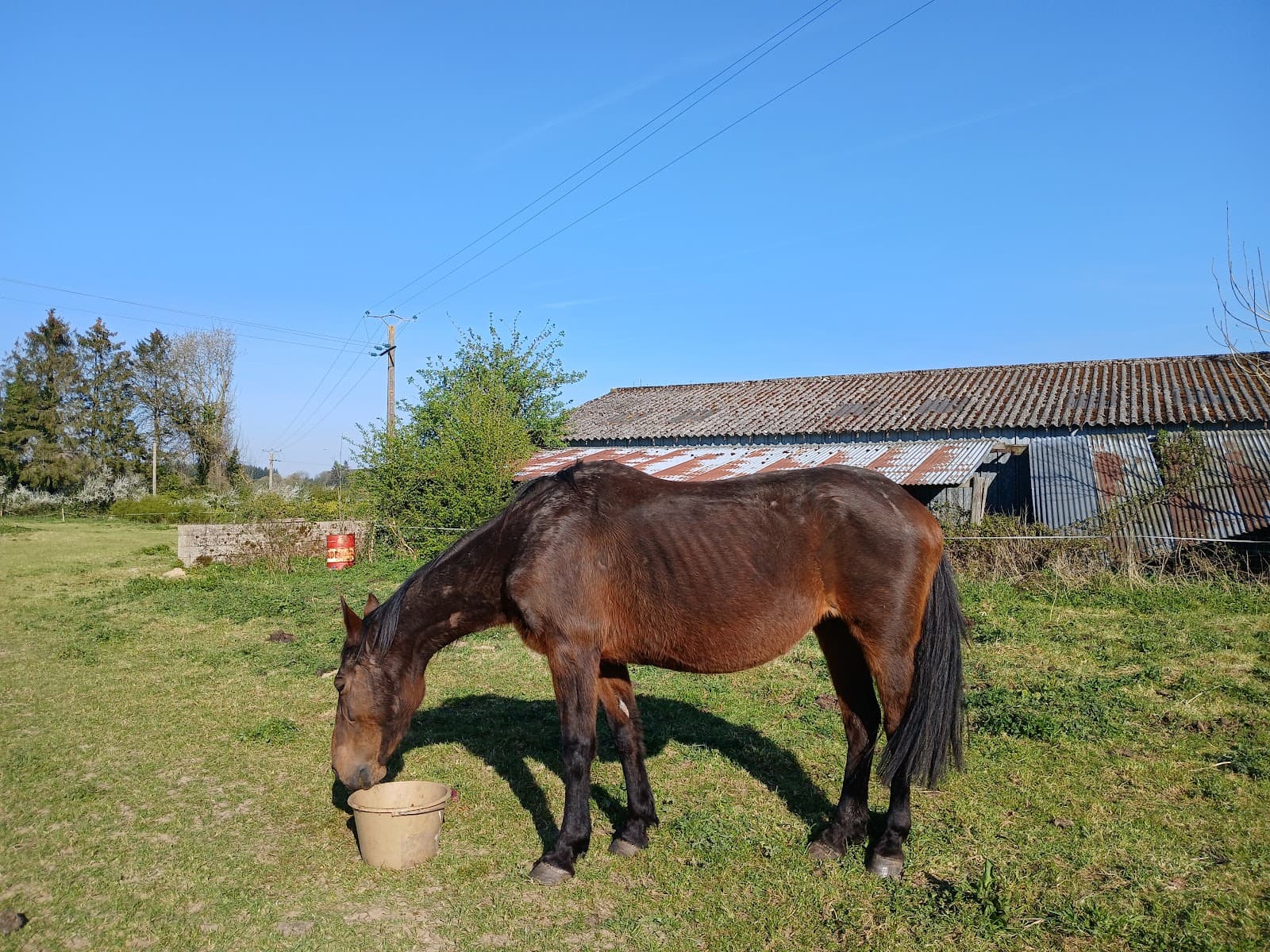 L ECURIE DU BONHEUR FERME DE GERVAL — photo 1