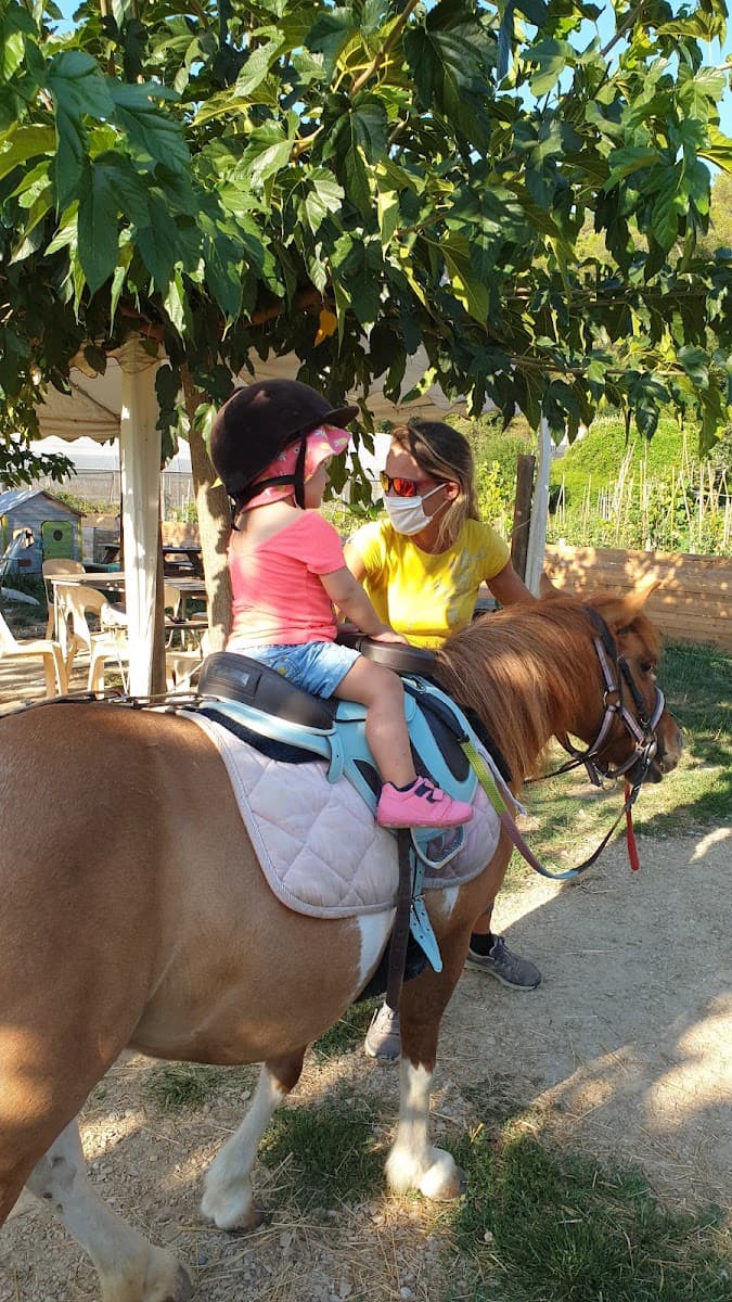 L ILOT PONEYS — photo 1