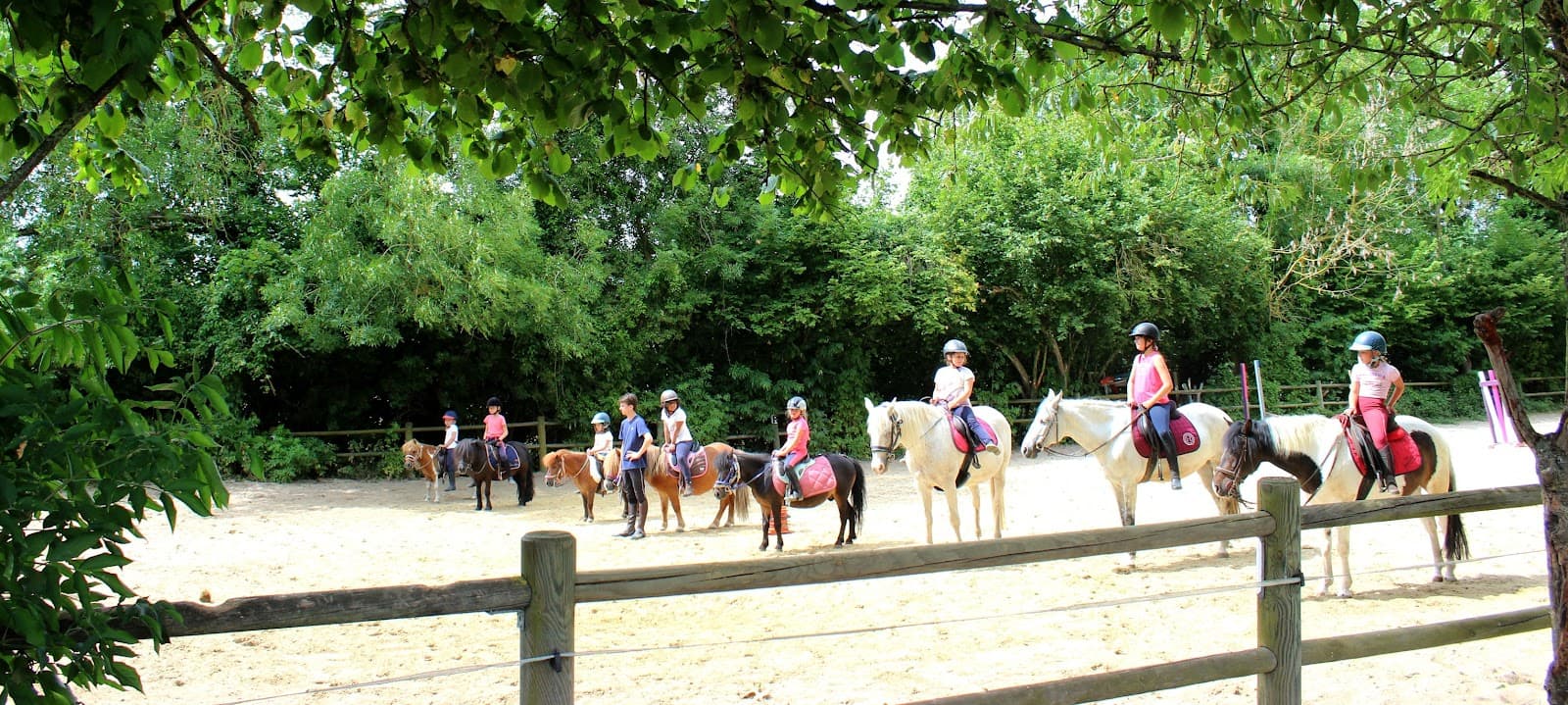 LA CAVALERIE D ADONIS — photo 1