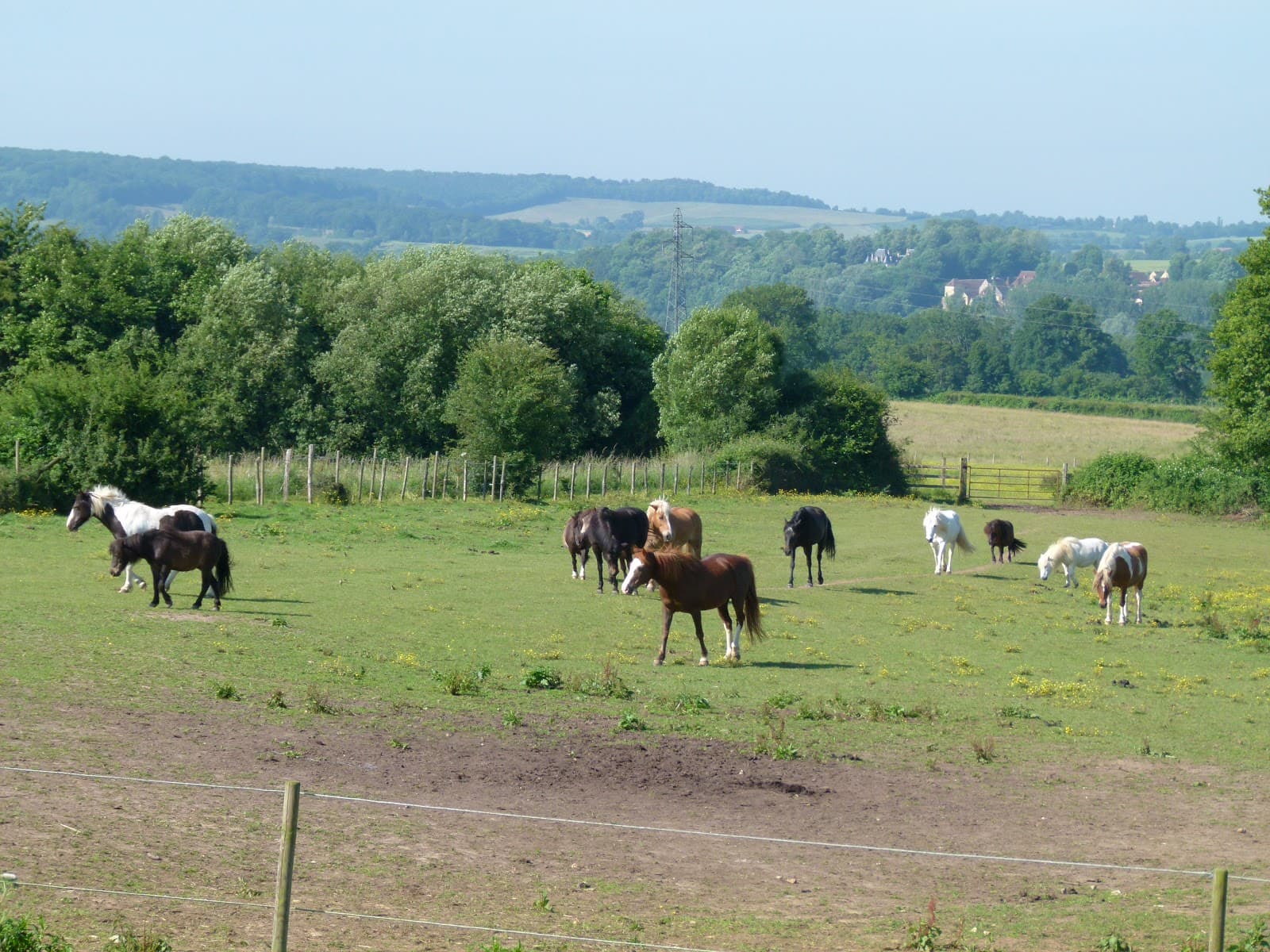 LA COLLINE AUX PONEYS — photo 1