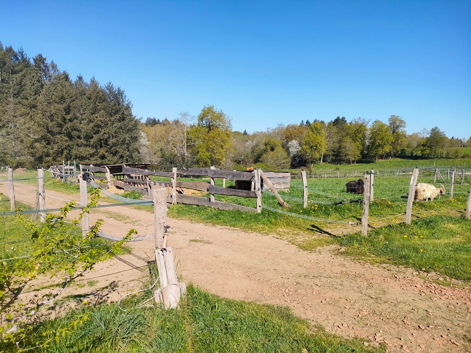 LA FERME DE LA TERR HAPPY — photo 1