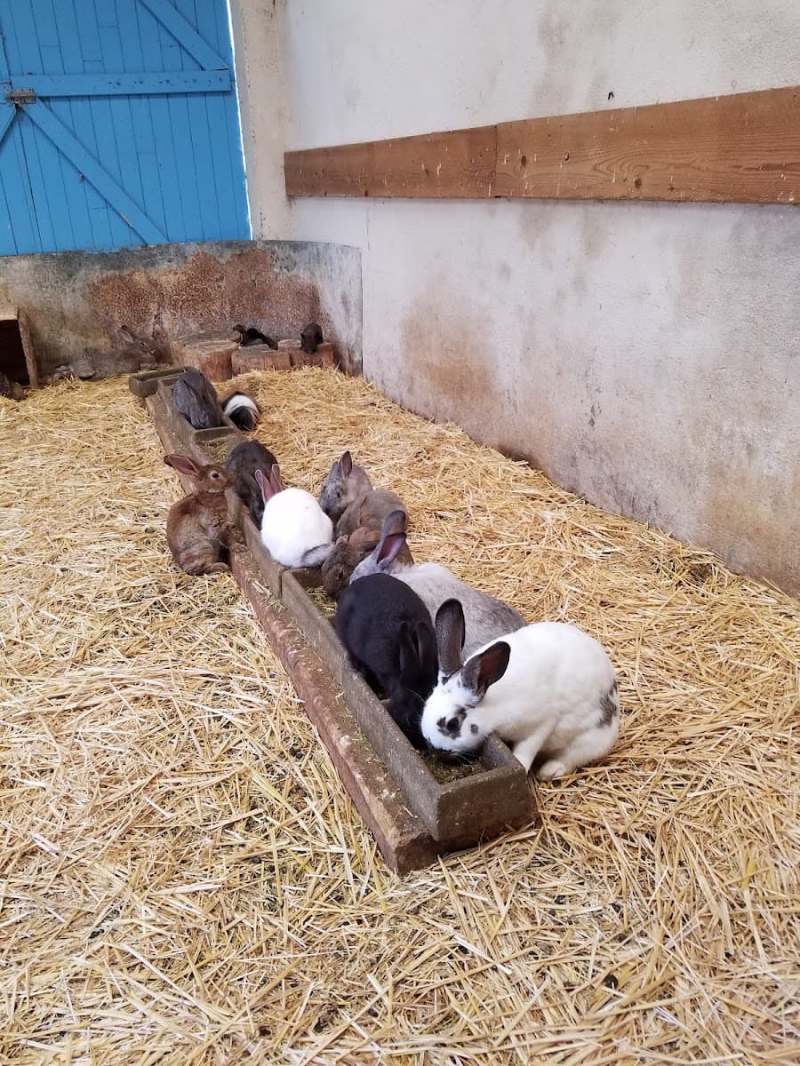 LA FERME DE PEGASE — photo 1