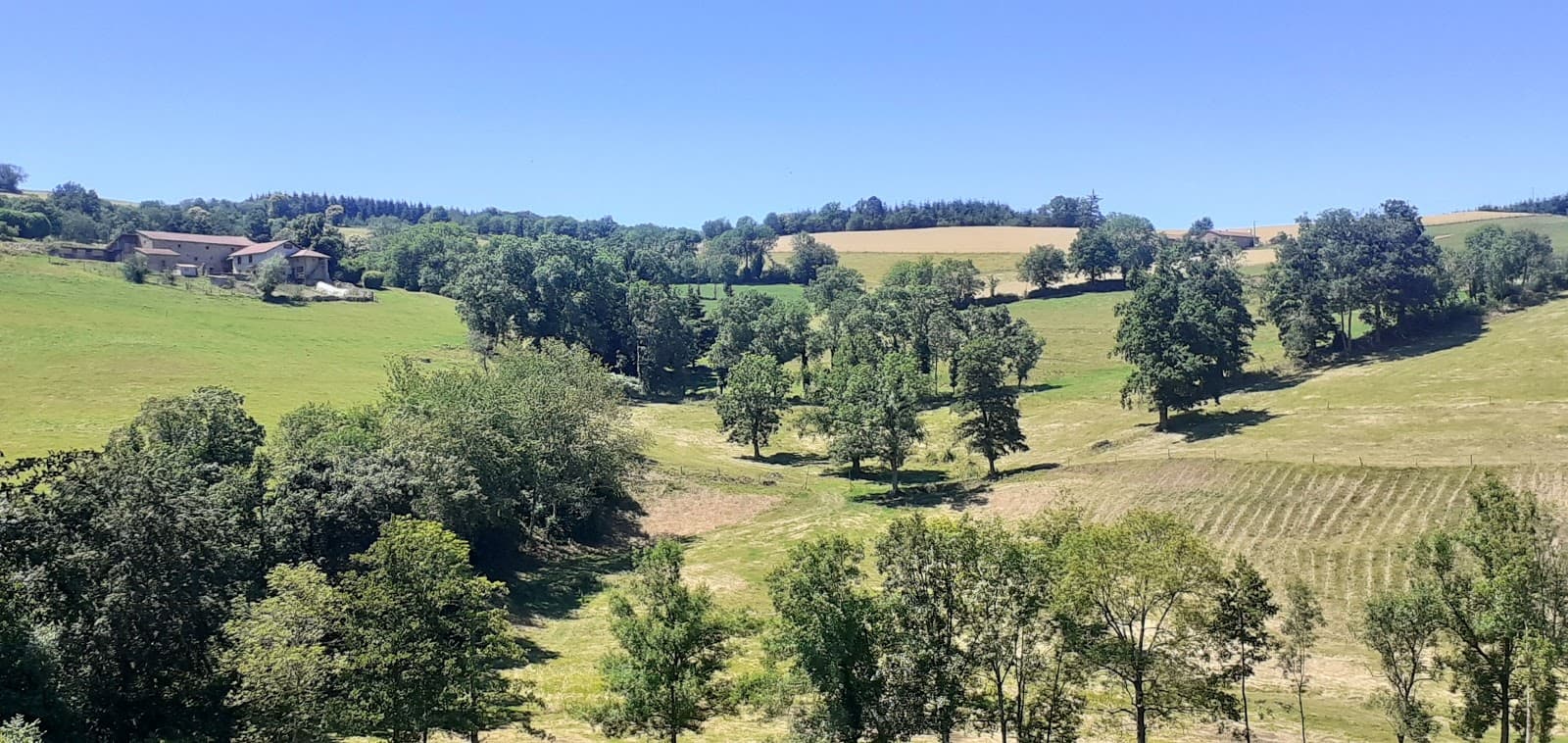LA FERME DU CHEVAL NOIR — photo 1