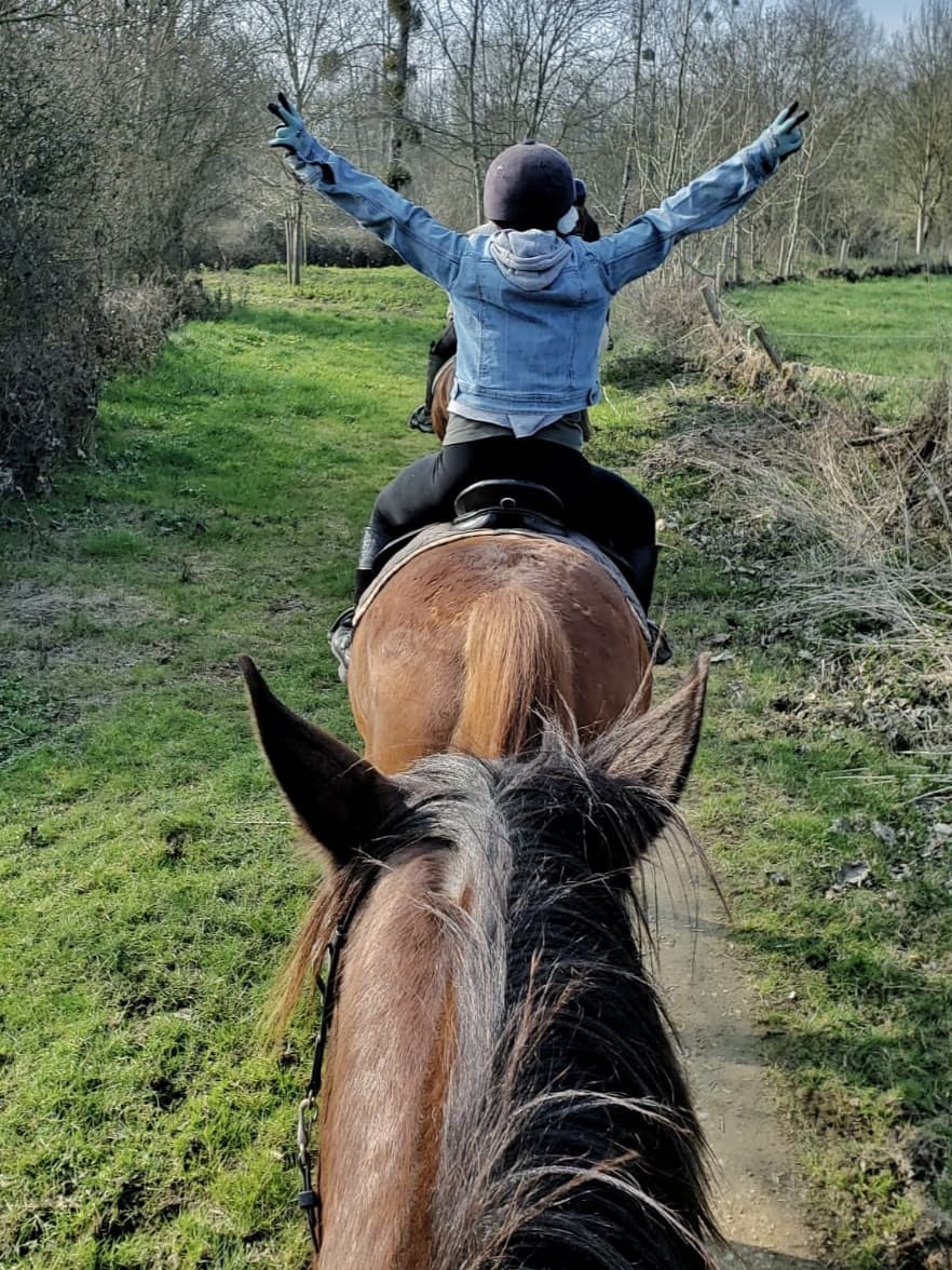 LA FERME EQUESTRE DES LONGS CRINS — photo 1