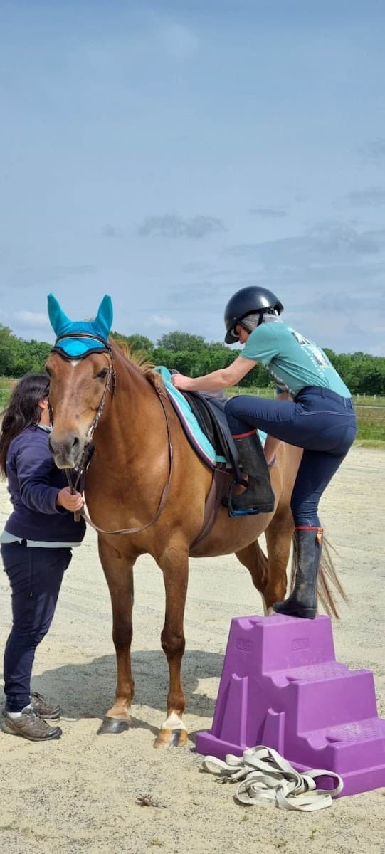 LA LICORNE VERTE 85 — photo 1