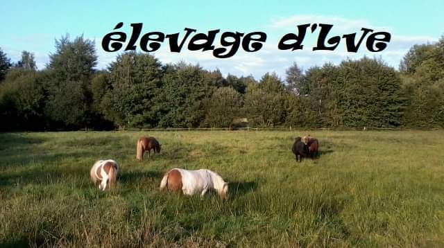 LA VILLATTE EQUITATION 23 — photo 1