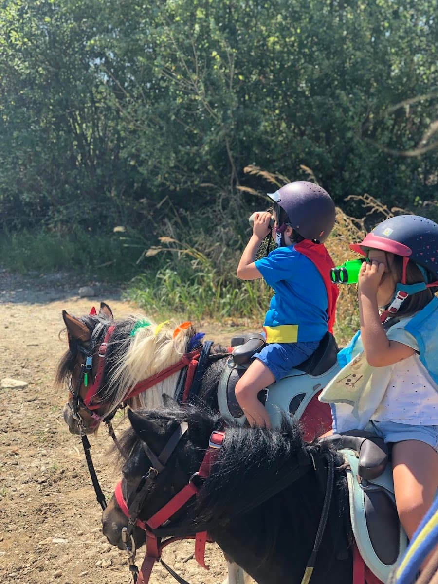 LAC DE MAINE EQUITATION — photo 1
