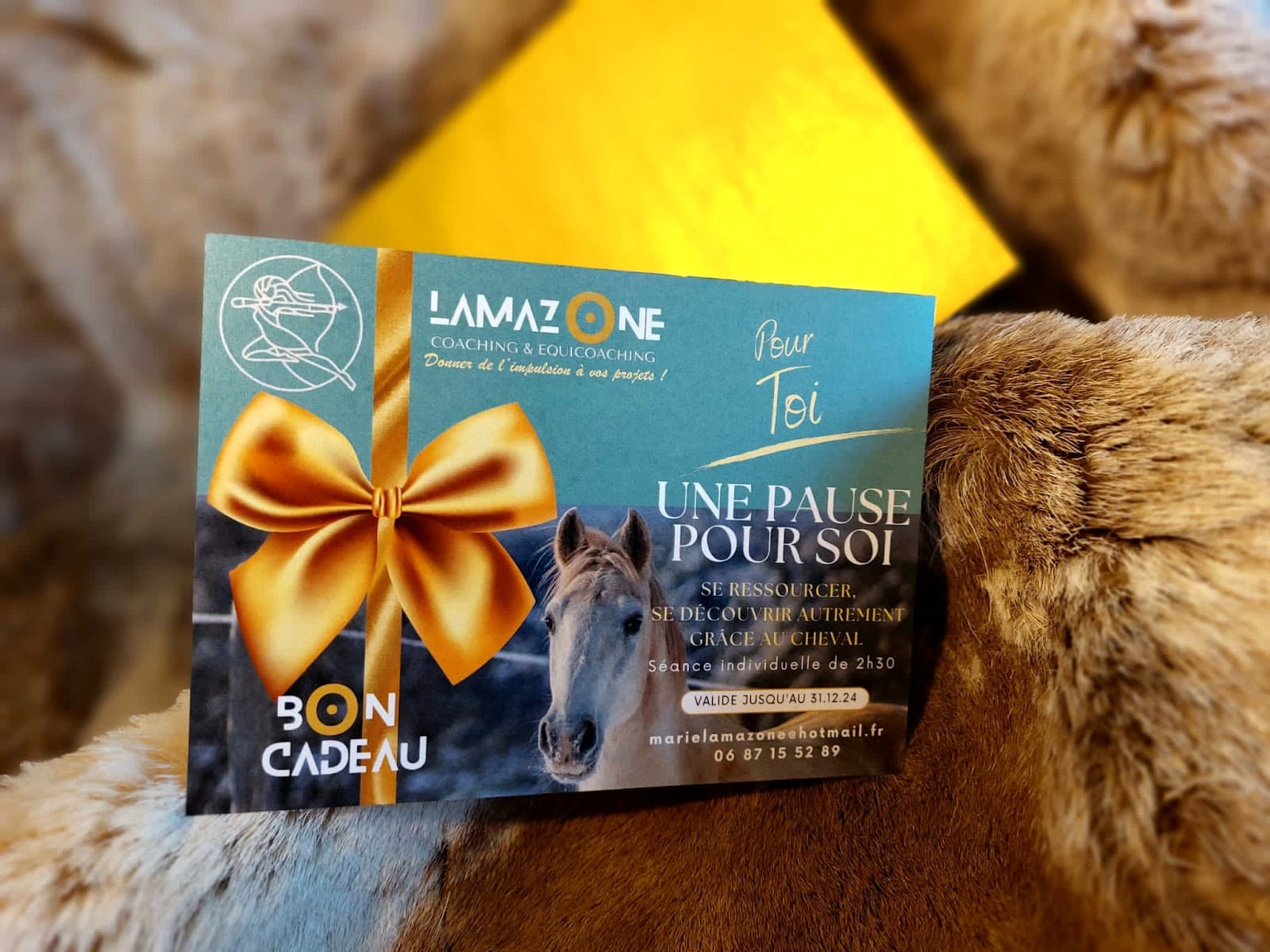 LAMAZONE COACHING EQUICOACHING — photo 1