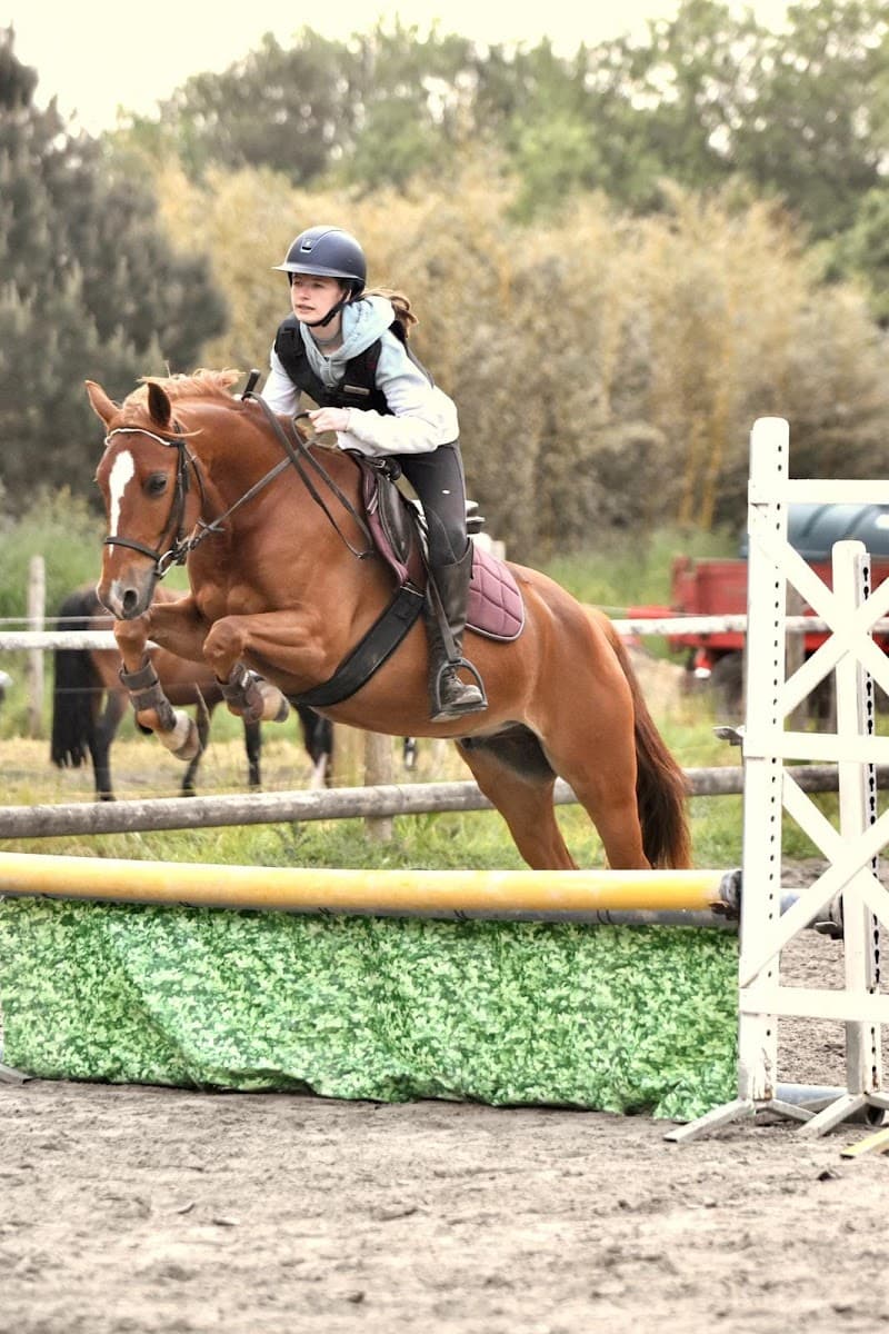 LANNION EQUITATION — photo 1